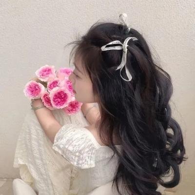 快盗妙探海报
