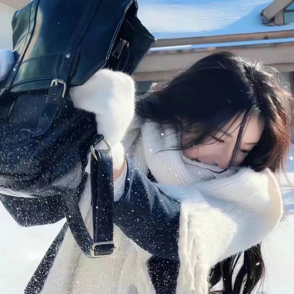 女友的秘密海报